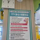 고양이카페 아이캣유 | 군산 철길마을 아이캣유 고양이카페 솔직 방문후기