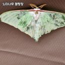 내리계곡로 | 강원도 영월의 자연 속 힐링 캠핑, 느티나무 캠핑장 솔직후기 🌲🏕️