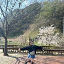 빅텐트 행정사사무소 | 청주 근처 저렴한 캠핑장 / 증평 좌구산 휴양림 / 아이와 미즈캠 /로티캠프 원터치텐트