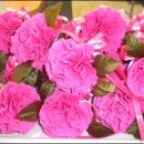 오산할머니경로당 이미지