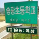 송광초등학교 Daum카페