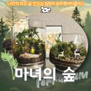 사슴이랑 배랑 농원 | 송파원데이클래스_마녀의 숲에서 나만의 작은 숲 만들기(feat.힐링시간)