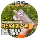 당신의과수원 | 당신의 과수원 패키지, 내돈내산 솔직후기