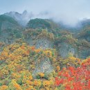 청량산농원