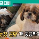 중말농장 이미지