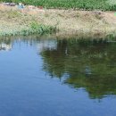 종합터미널(37242) 이미지