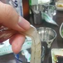 나나활어회 이미지