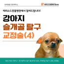 레오메디칼 이미지