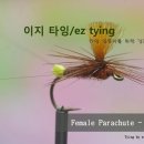 이지플라이 이미지
