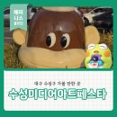 제1회 무안아트페스타 | 대구 수성구 가볼 만한 곳 수성못 수성미디어아트페스타 다녀온 후기