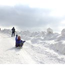 온누리목장 이미지