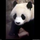 우창 이미지
