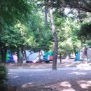 구덕야영장 이미지