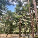 마이산 풍혈냉천 캠핑장 이미지