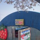 수문농장 이미지