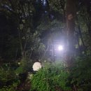 제753차 야간산행 앞산큰골(5월21일 목요일) 이미지