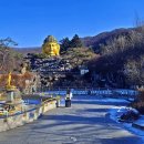 와우정사 이미지