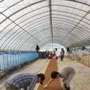 효경농장 이미지