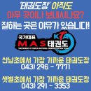 무혼 국가대표 MAS 태권도장 이미지