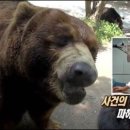 서경석농장 이미지