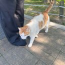 생활서가 | [울산 여행] 울산대공원 북카페 지관서가 후기 | 숲뷰 힐링 카페