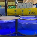 일조수산
