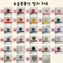 [천안웨딩촬영]해르르작업실 요술다이아반지풍선 촬영후기