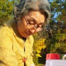 장촌칼국수 이미지