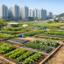 개금농장 이미지