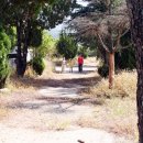 대창초등학교 이미지