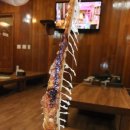 생선굼터 이미지