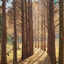 원주굽이길 원8코스 흥업캠퍼스낭만길 이미지