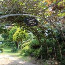 베짱이정원 이미지