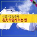 10월24일 뉴스브리핑 이미지