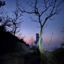 한가라지 이미지