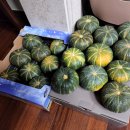 재연농장 이미지