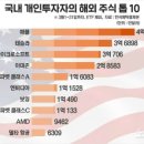 '동학개미'들, 美주식도 8조 쓸어담으며 통 큰 베팅 이미지