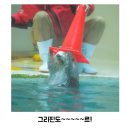 학성사 이미지