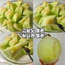 유명덕농장 | [고당도 멜론 추천-식이네농장] 허니퀸 멜론, 과즙 가득한 제철 과일 후기
