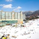 신한대학교 이미지