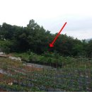 구암동377 이미지