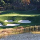 더비치라데나 이미지