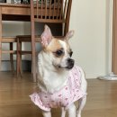 파도식탁 이미지