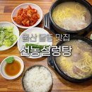 선농설렁탕 - 강서구 공항앞길 6 | 울산 삼산 점심 맛집 선농설렁탕 혼밥 한식 국밥 남구 달동 저녁 밥집 웨이팅 현지인 추천