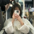 낙성대역 5번출구 | 낙성대역 미용실 유포리아헤어 쟝피엘 케라스타즈 헤드스파 후기