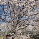 서성경로당 이미지