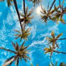 매일빛나는의원 이미지