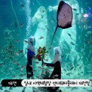 대전 실내체험 추천! 언더워터플레이 대전점 위치, 예약, 요금 정보