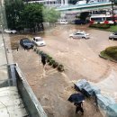 순천-55호 이미지