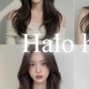 헤일로헤어 네이버블로그